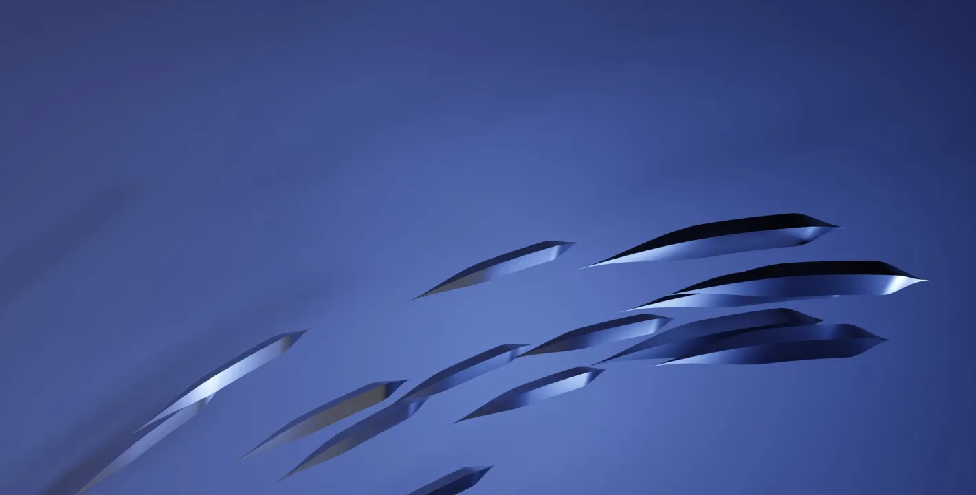 Custom Software Development