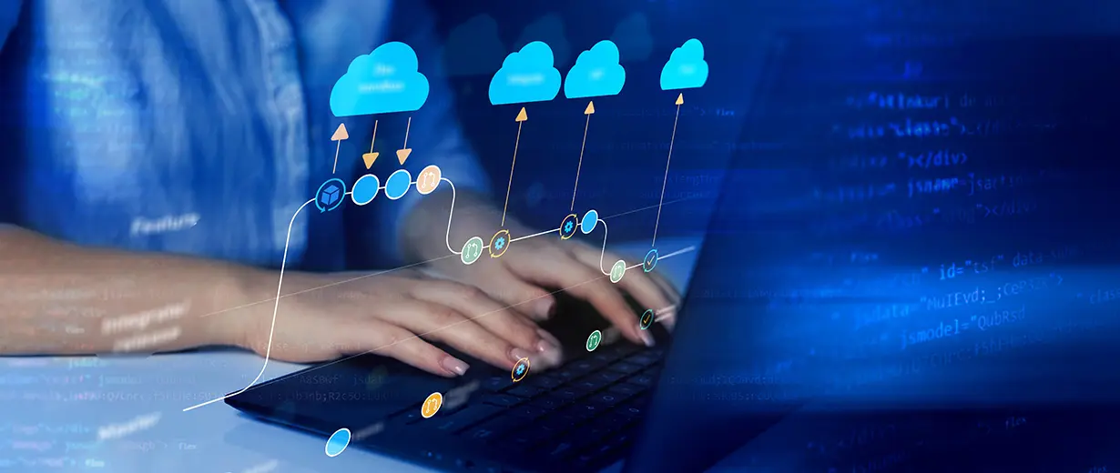 data science workflow