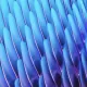 Data Migration trends 2025